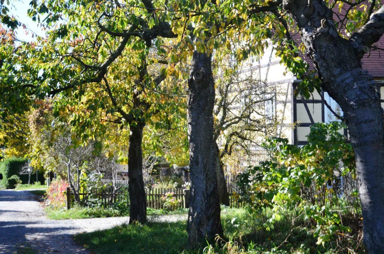 Hochlandappartement Dresden Bagian luar foto